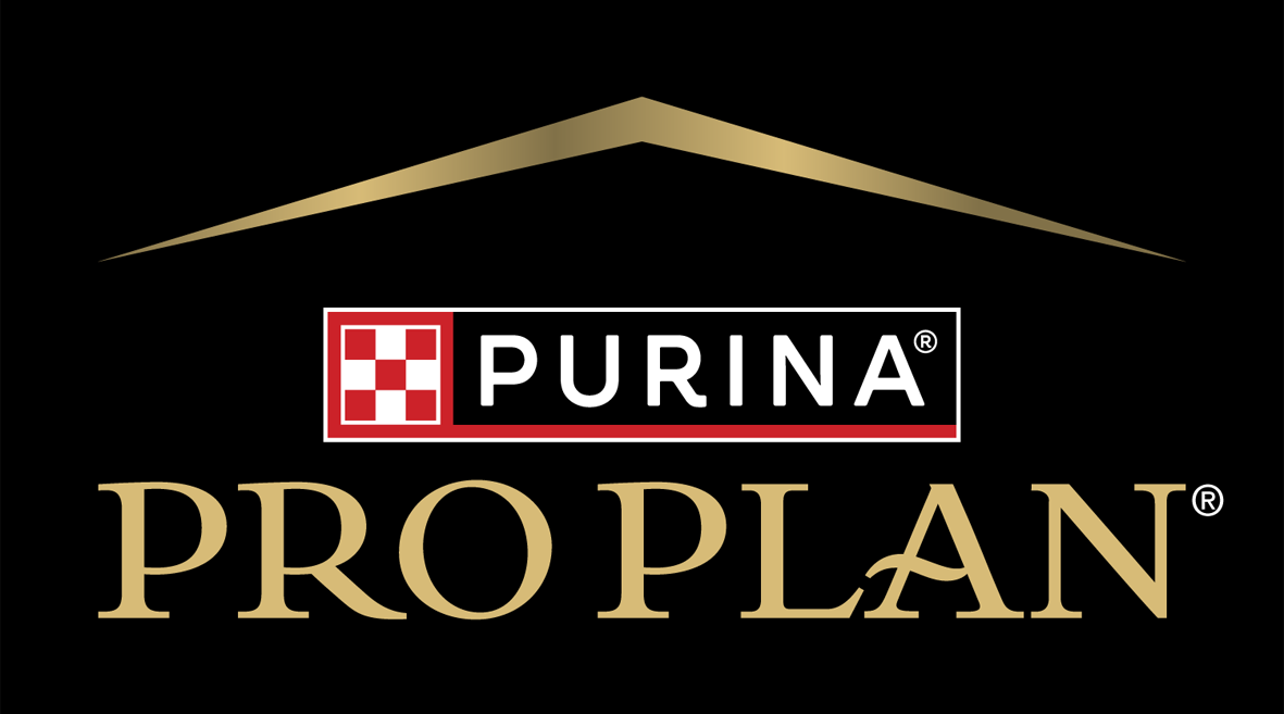 Pro Plan Logo na web RGB 2023 kopie