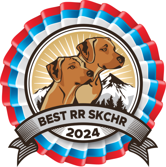 Best RR SKCHR 2024