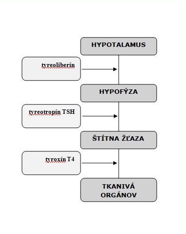 hypotyreoza