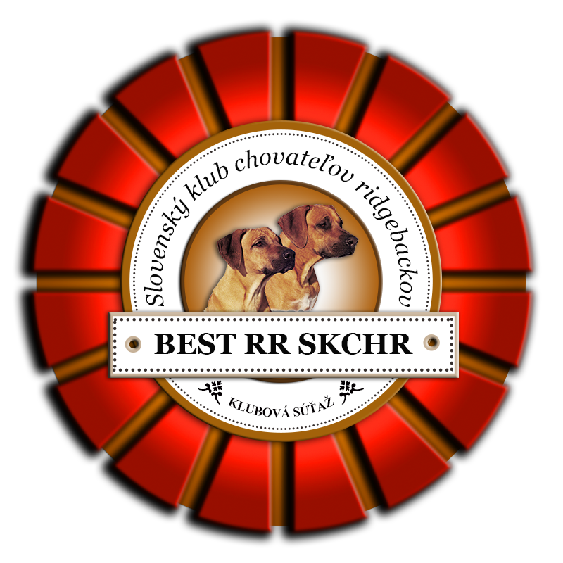 logo BESTRRSKCHR menu