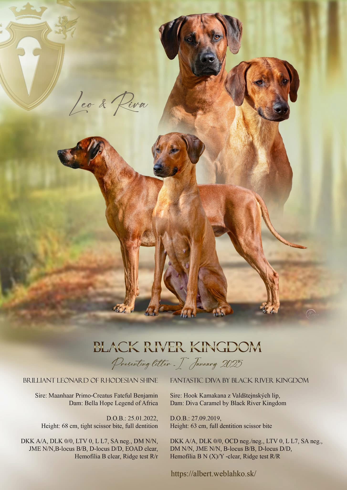 Black River Kingdom I vrh