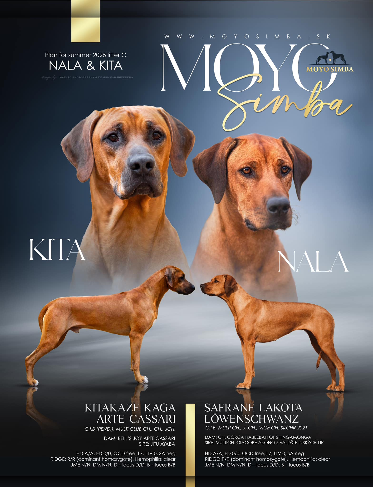 moyo simba