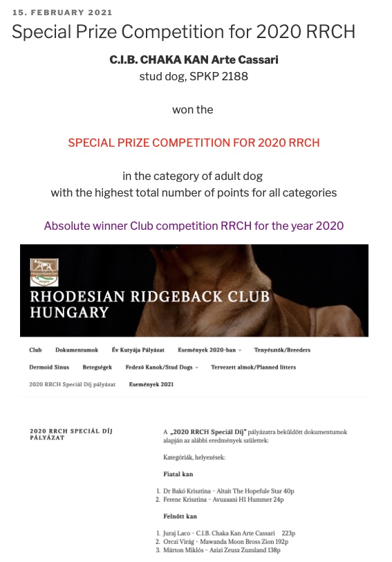 Special prize competition for 2020 RRCH