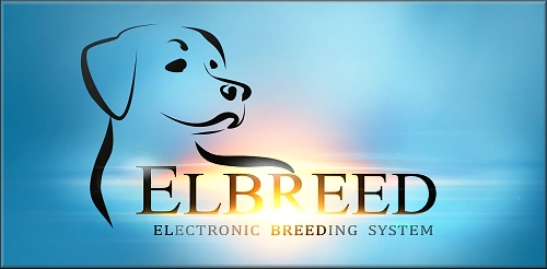 ELBREED